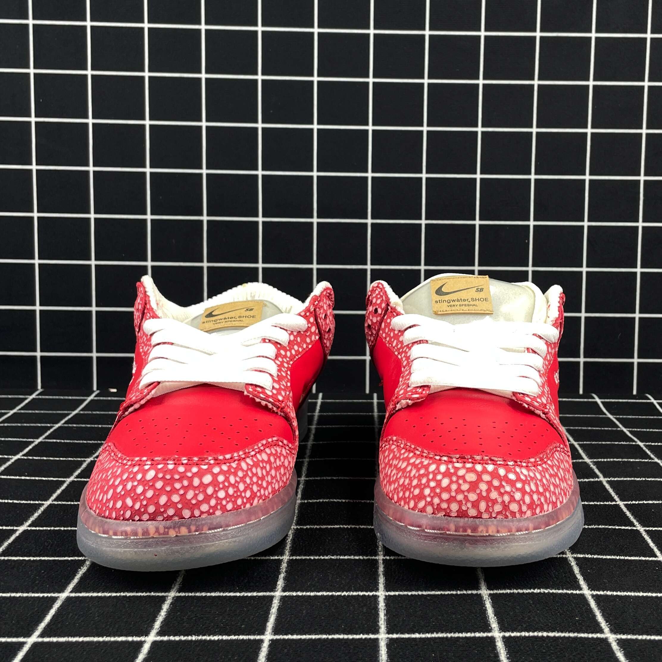 Stingwater x Nike SB Dunk Low Replica