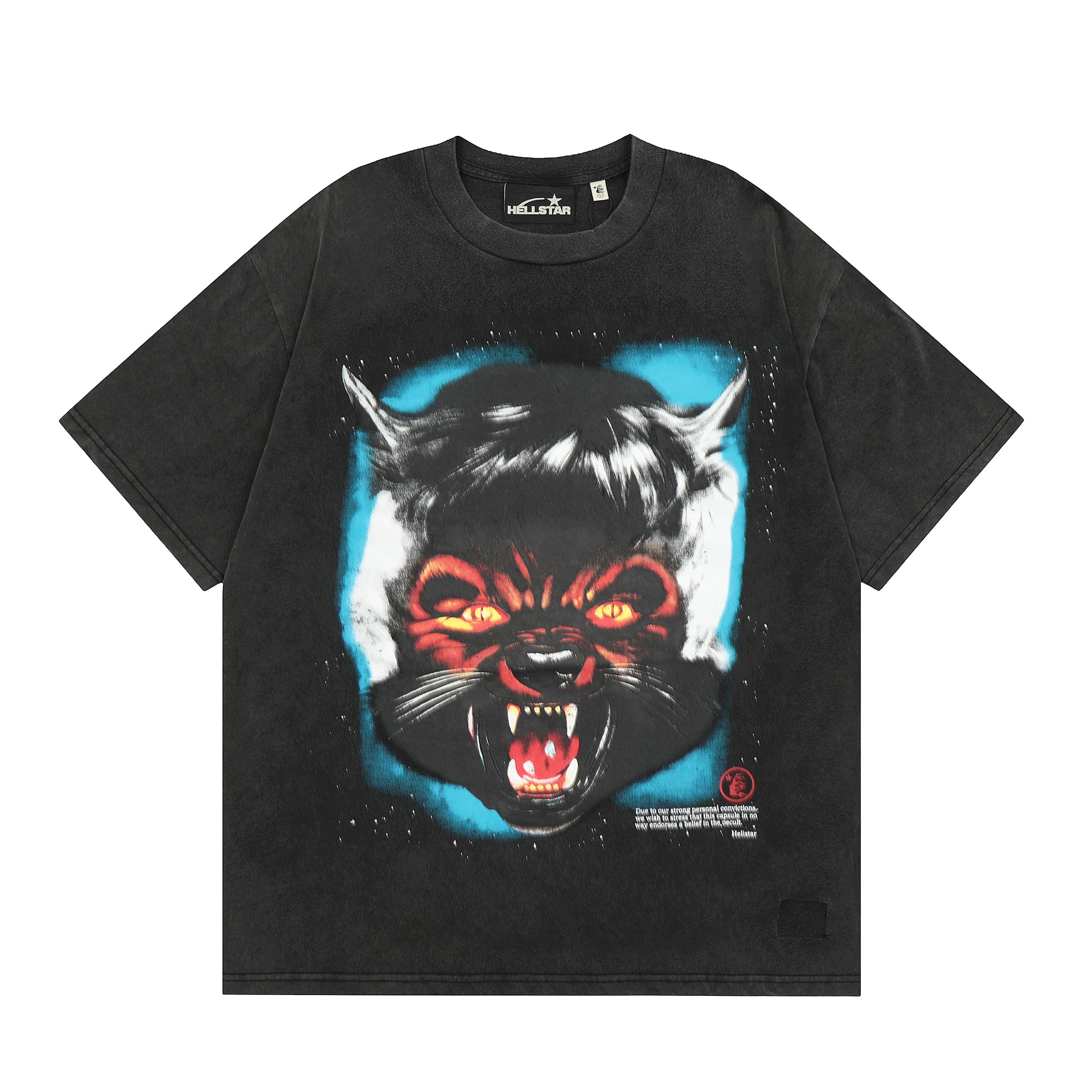 H*lst*r maychao vintage printed tee 2