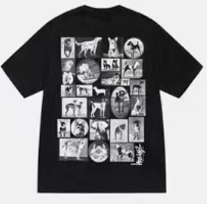 Stussy Crown Surfing Print Short Sleeve T-Shirt for Men and Women 2